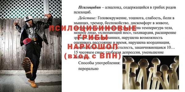 гидра Краснослободск