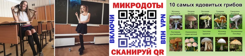 купить наркотик  кракен ONION  Псилоцибиновые грибы Cubensis  Лысково 